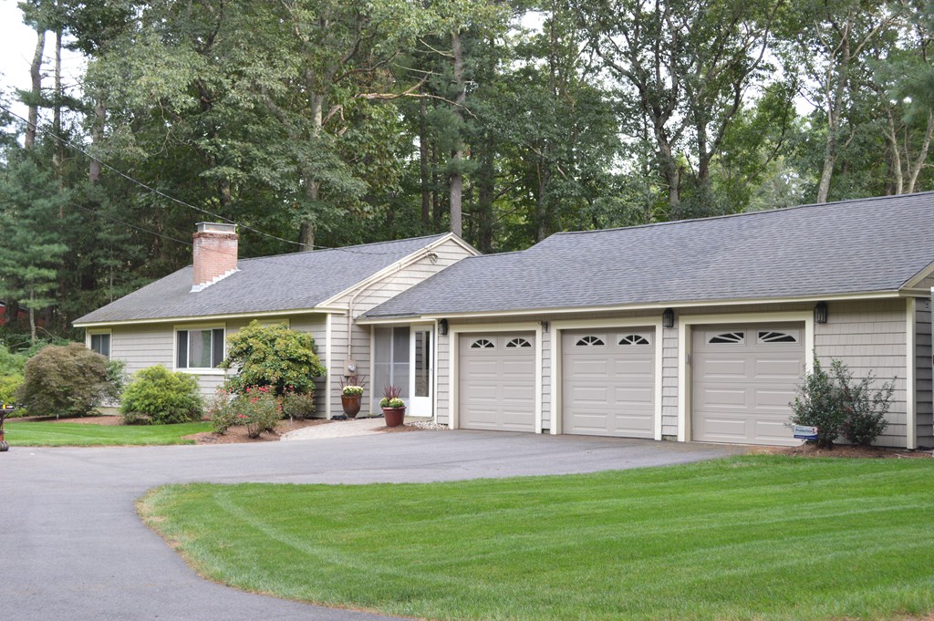 a view of a house with a yard plants and large tree