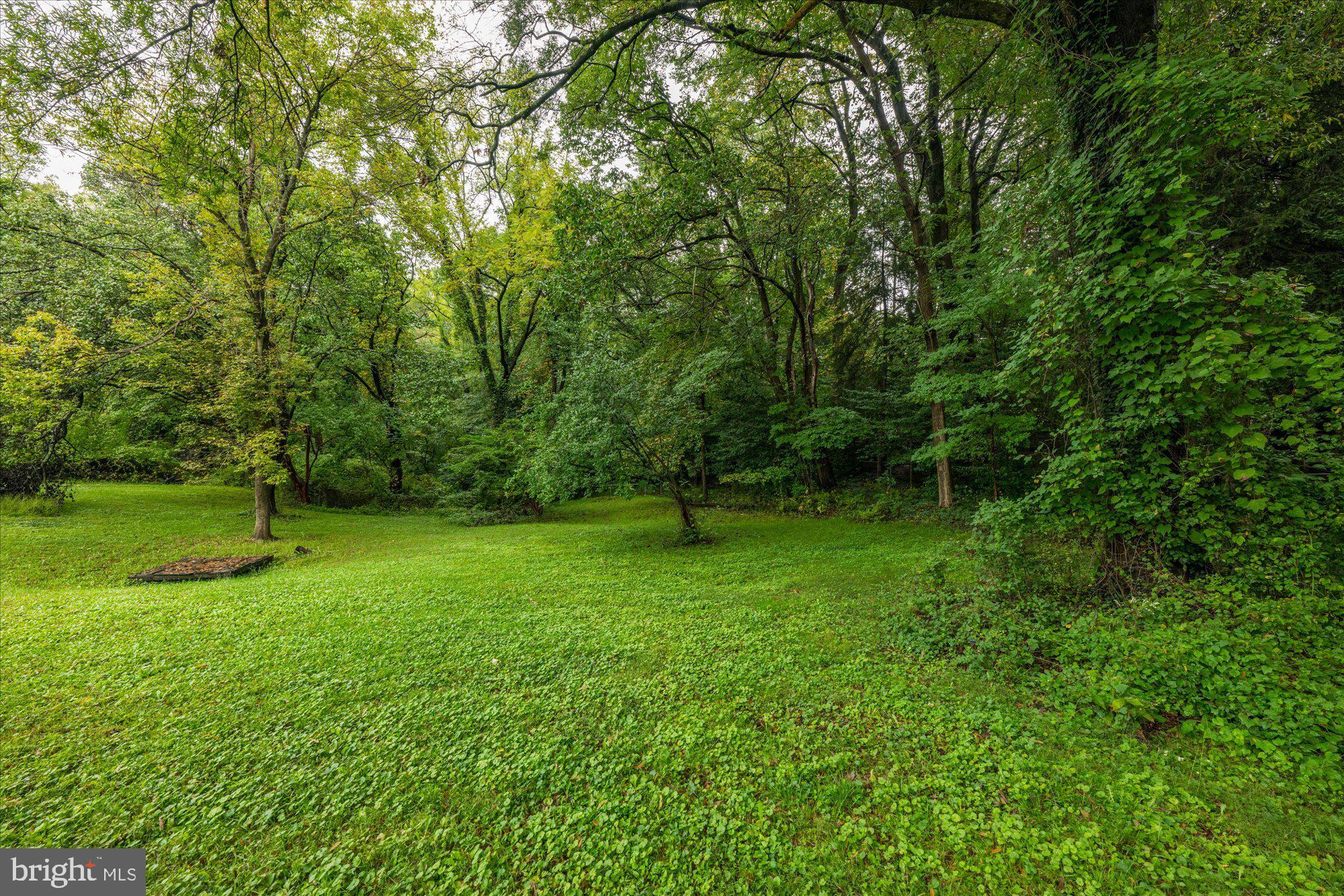 2623 Military Road Arlington, VA 22207 - Photo 42 of 45