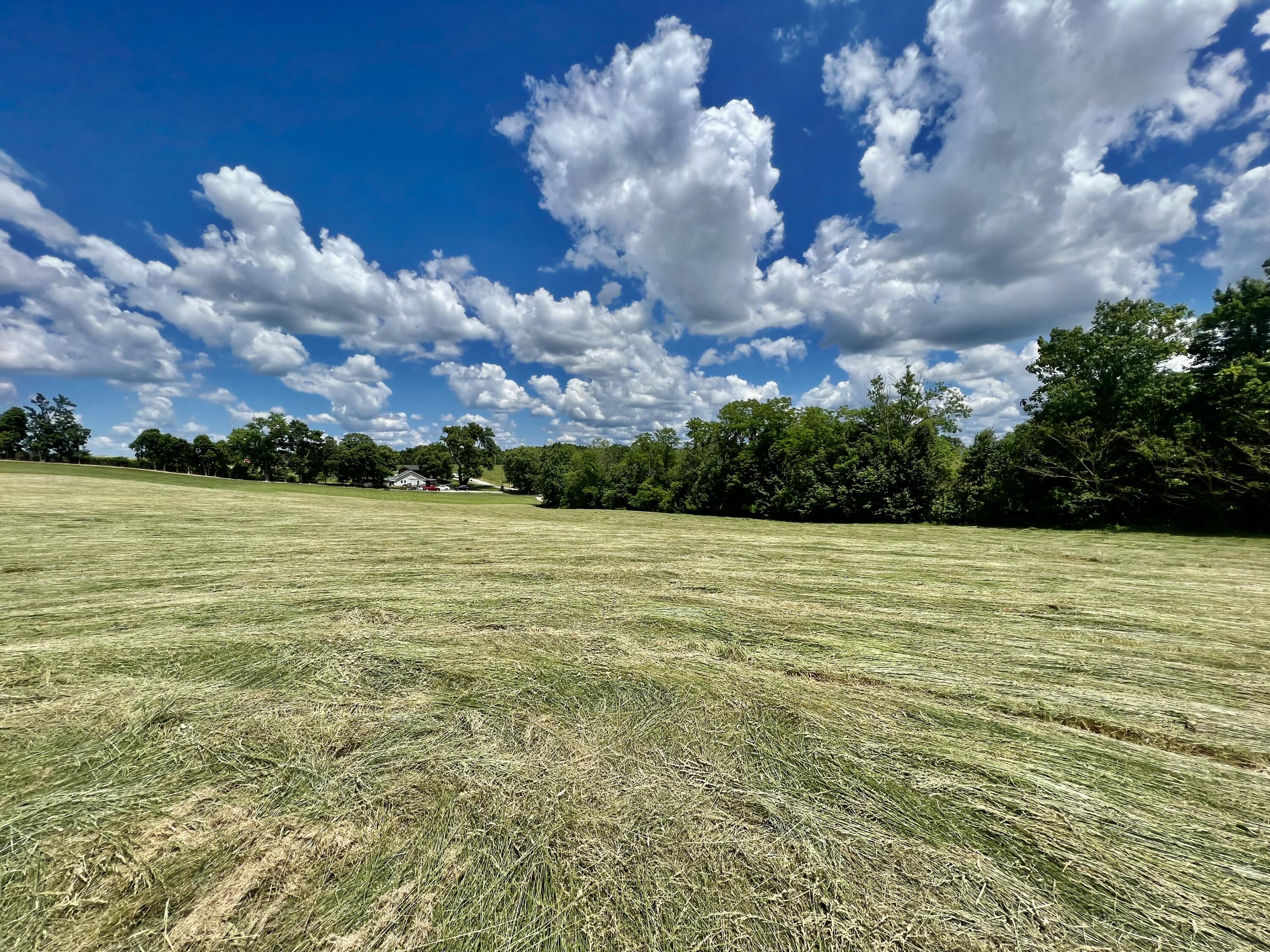 9999 Chestnut Grove Road Brodhead, KY 40409 - Photo 13 of 67 E8E15743-06C3-4170-9DB6-1BD28DA3A675