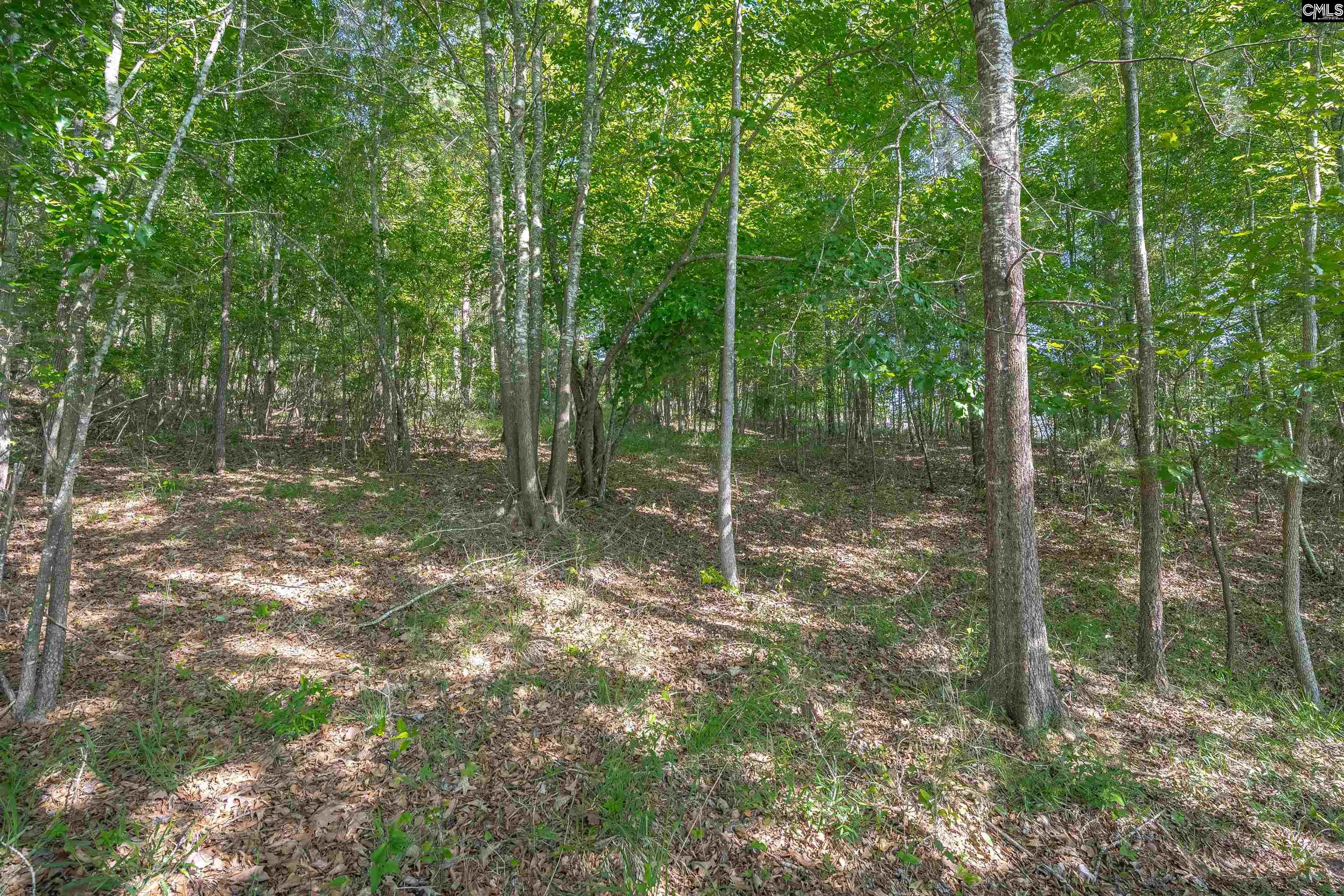2022 Lake Road Ridgeway, SC 29130 - Photo 18 of 21