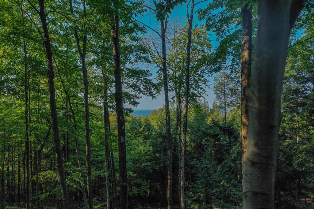Bluff Pass Egg Harbor, WI 54209 - Photo 1 of 11