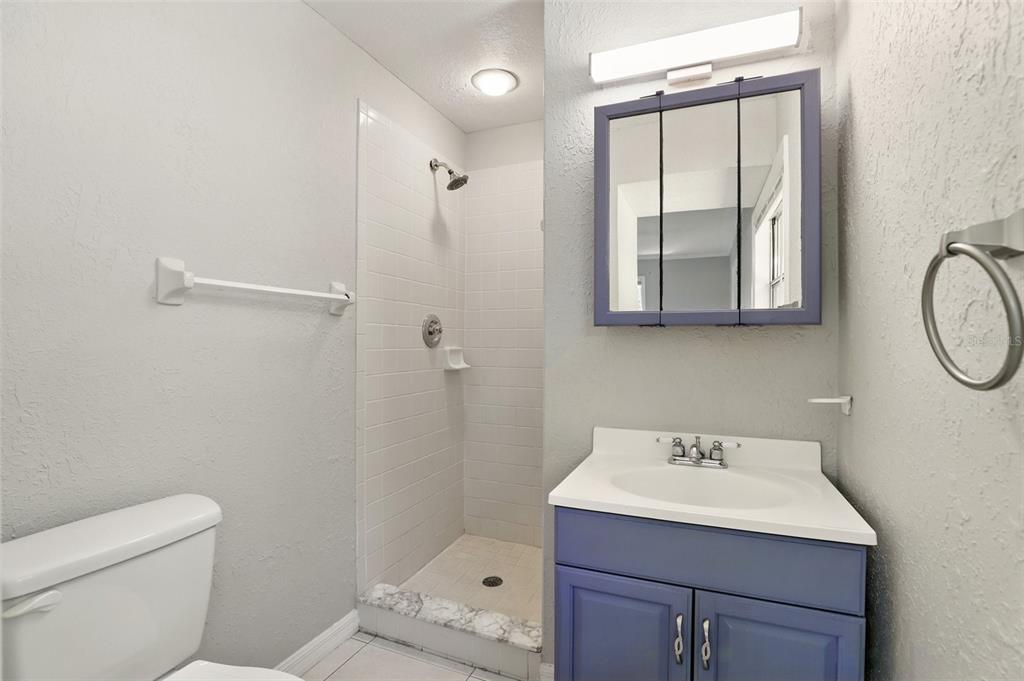 1617 Acacia Road Apopka, FL 32712 - Photo 17 of 30 a bathroom with a sink a toilet and a mirror