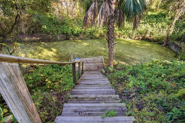 a view of a backyard with plants