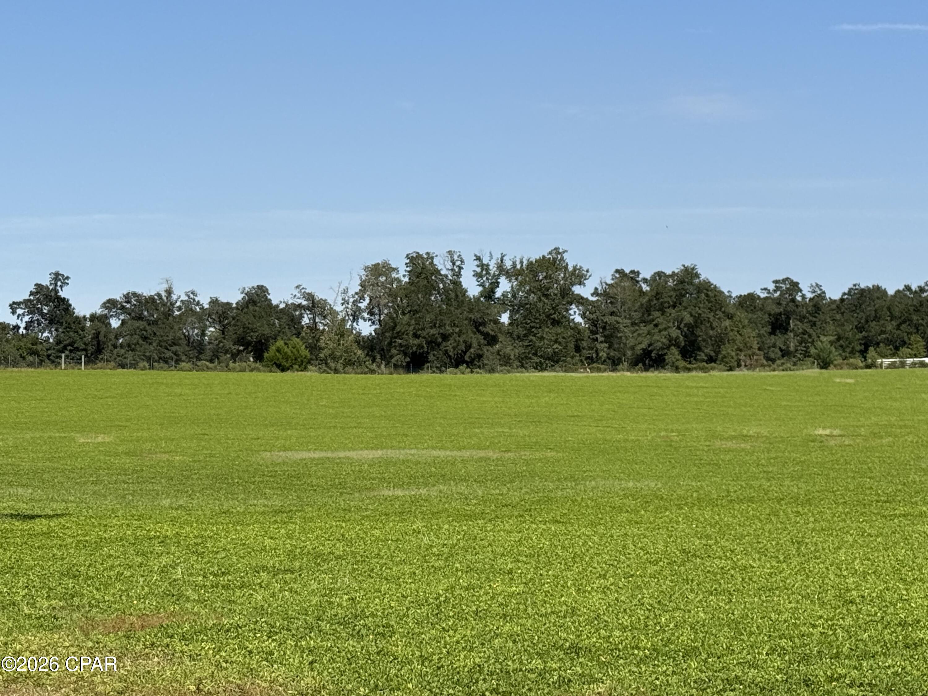 0 Dellwood Cypress Road Grand Ridge, FL 32442 - Photo 2 of 14 Gallery Image 2