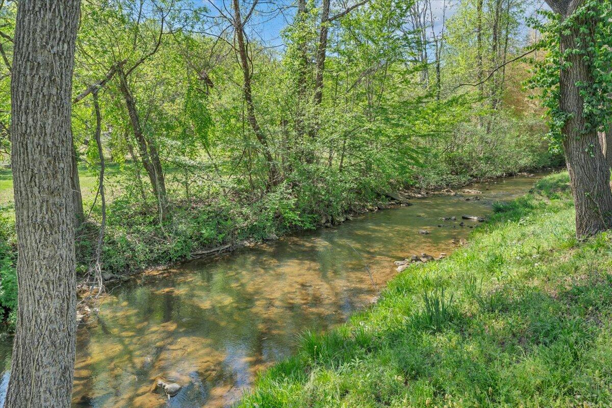 112 Frankie Lane Stuart, VA 24171 - Photo 45 of 57 a view of a lake with a yard