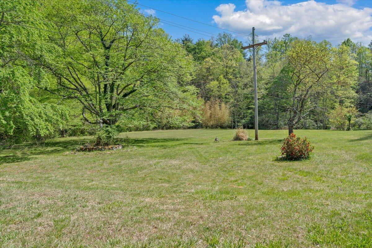 112 Frankie Lane Stuart, VA 24171 - Photo 46 of 57 a view of a field with a tree