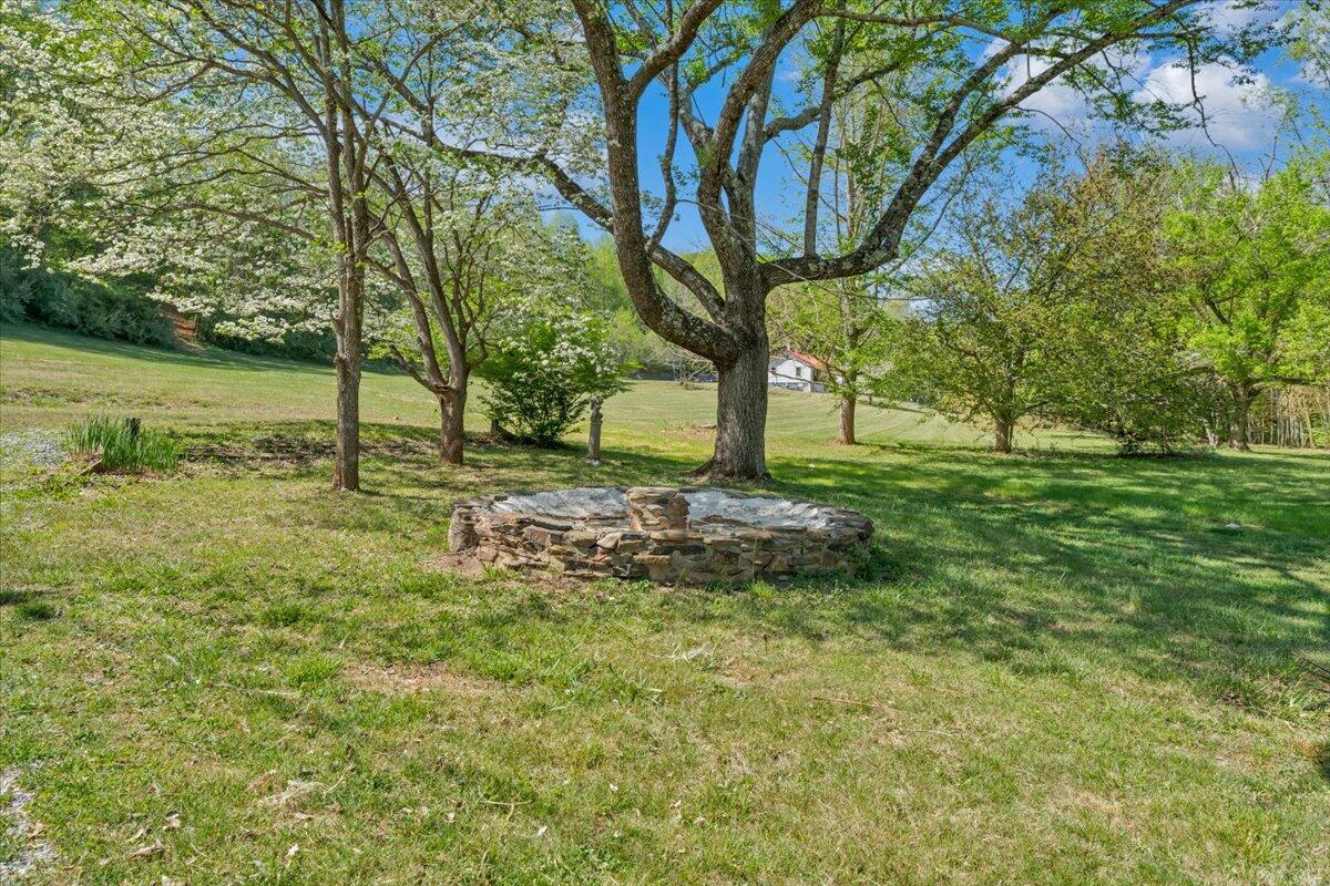 112 Frankie Lane Stuart, VA 24171 - Photo 47 of 57 a view of a tree in a yard