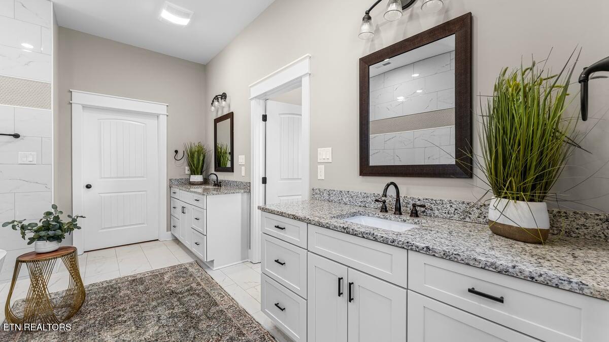 1014 Herbert Drive Greenback, TN 37742 - Photo 21 of 46 Primary Bathroom 2