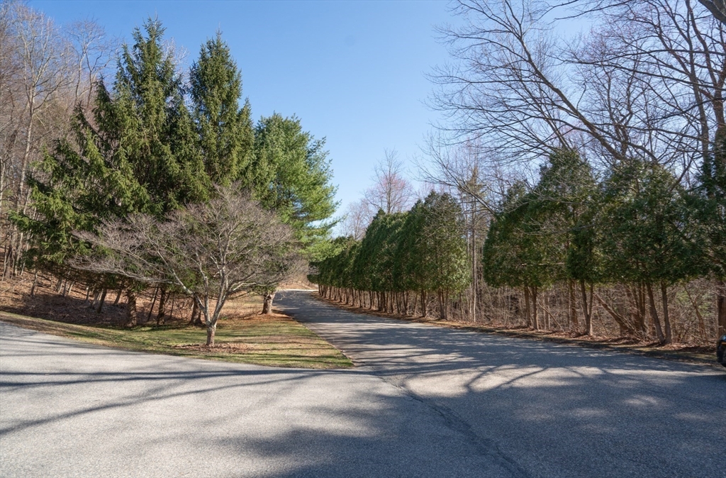 22 Elizabeth Street Amesbury, MA 01913 - Photo 31 of 38 a view of a yard with large trees