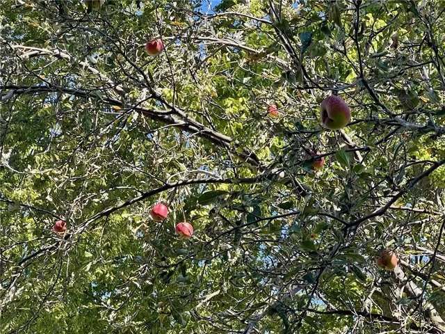 $385,000 | 27511 East Blue Mills Road, Sibley, MO 64088