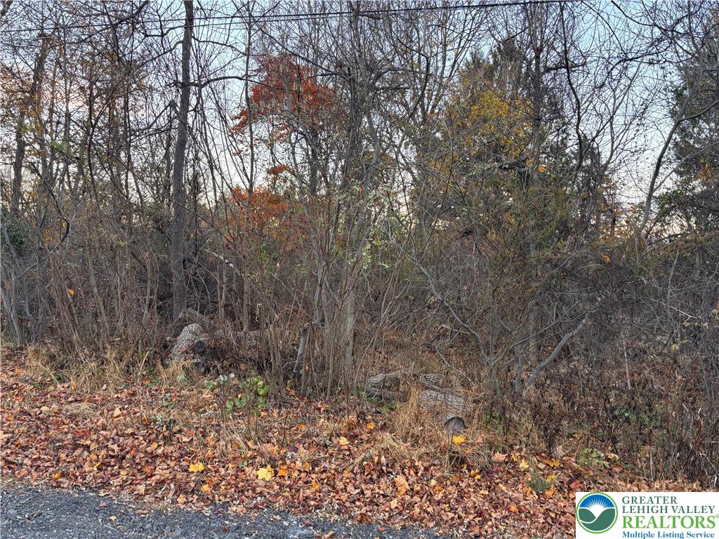 65 Yardley Road Easton, PA 18042 - Photo 4 of 7 Gallery Image 4