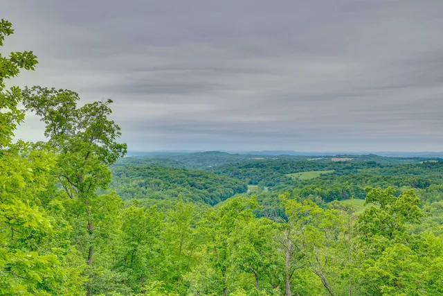 $1,325,000 | N7703 & N7705 Wanlass, Mindoro, WI 54644