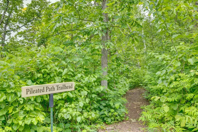 $1,325,000 | N7703 & N7705 Wanlass, Mindoro, WI 54644