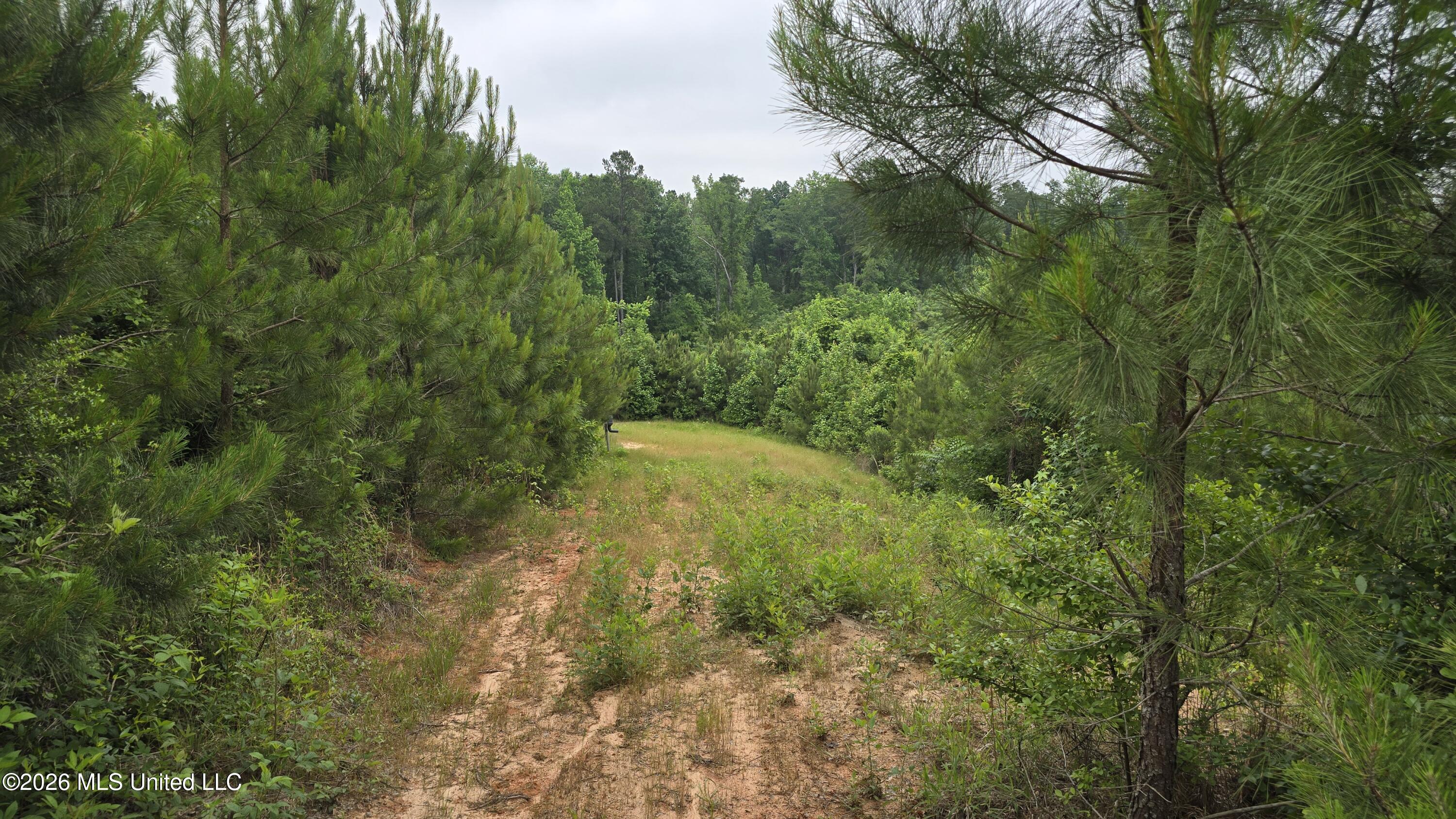 189 Co Road Bay Springs, MS 39422 - Photo 3 of 61 20260513_101723