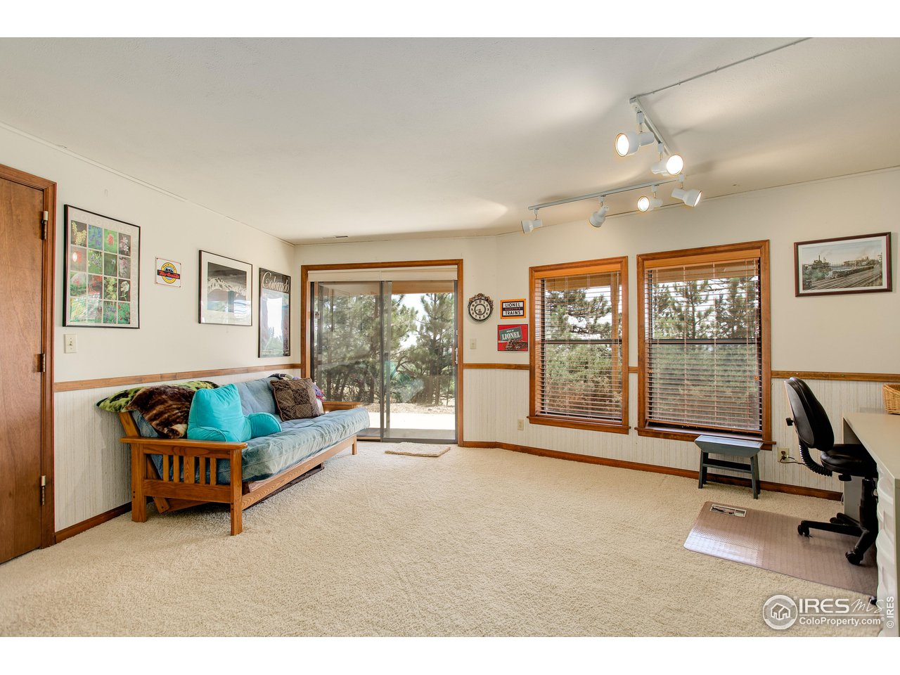 8563 Middle Fork Road Boulder, CO 80302 - Photo 20 of 28 Lower Level family room