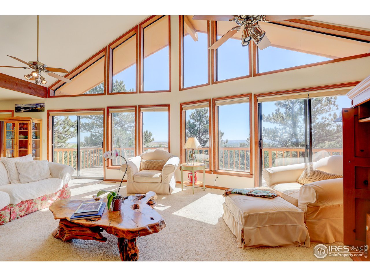 8563 Middle Fork Road Boulder, CO 80302 - Photo 4 of 28 Gorgeous Light!