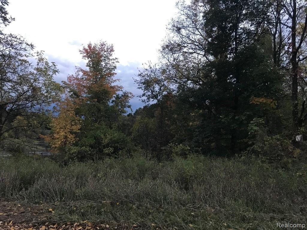 8 Rolston Road Linden, MI 48451 - Photo 3 of 4