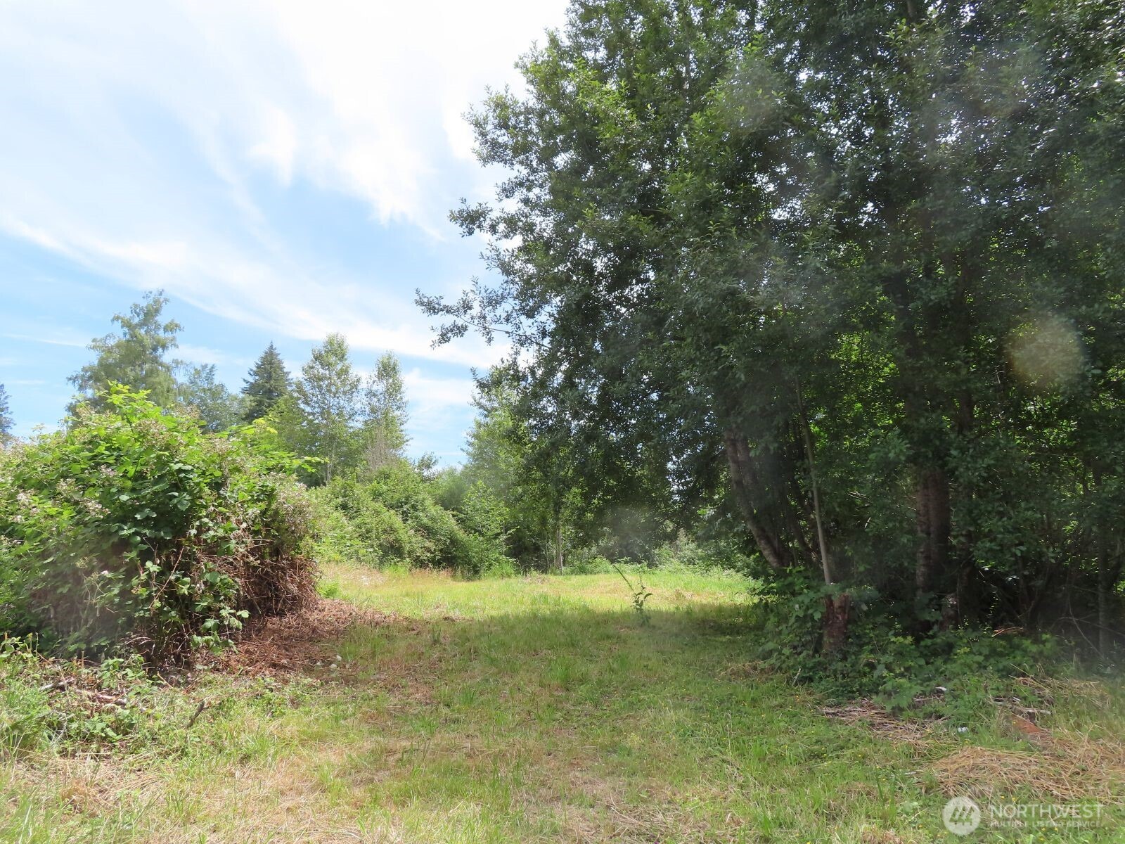 -xxx Coleman Road Mossyrock, WA 98564 - Photo 10 of 20