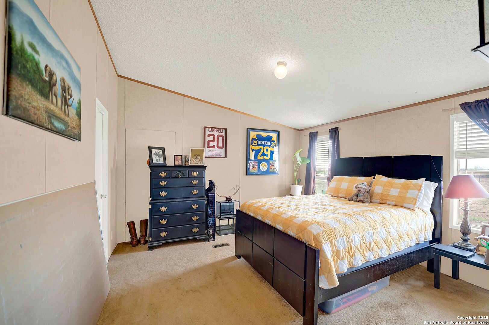 452 6620 Devine, TX 78016 - Photo 49 of 49