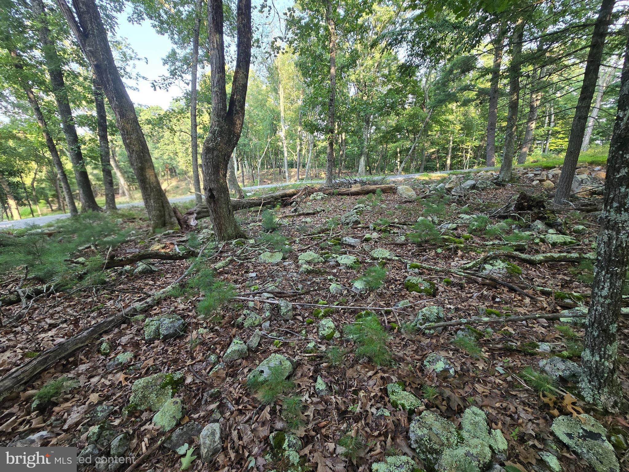 Lot # Highland Ridge Franklin, WV 26807 - Photo 16 of 19 Gallery Image 16