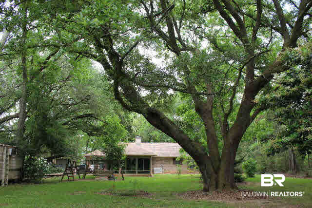 10375 Russ Road Daphne, AL 36526 - Photo 8 of 25 View of just part of the large back area near the house. This home and 4 acres are secluded, yet just outside the Daphne area, close to shopping, stores and restaurants.