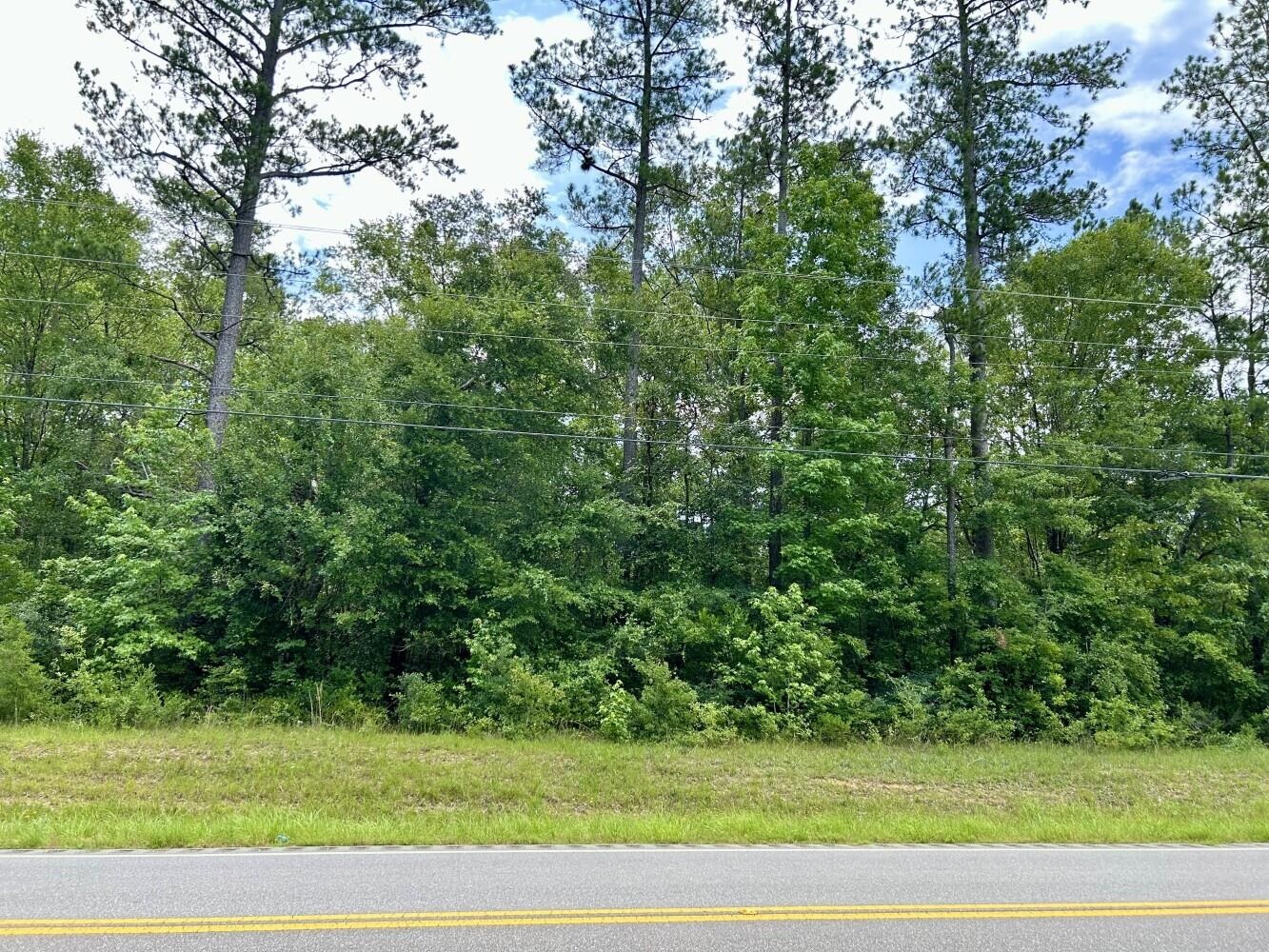 0 State Highway Stockton, AL 36579 - Photo 5 of 14 Community
