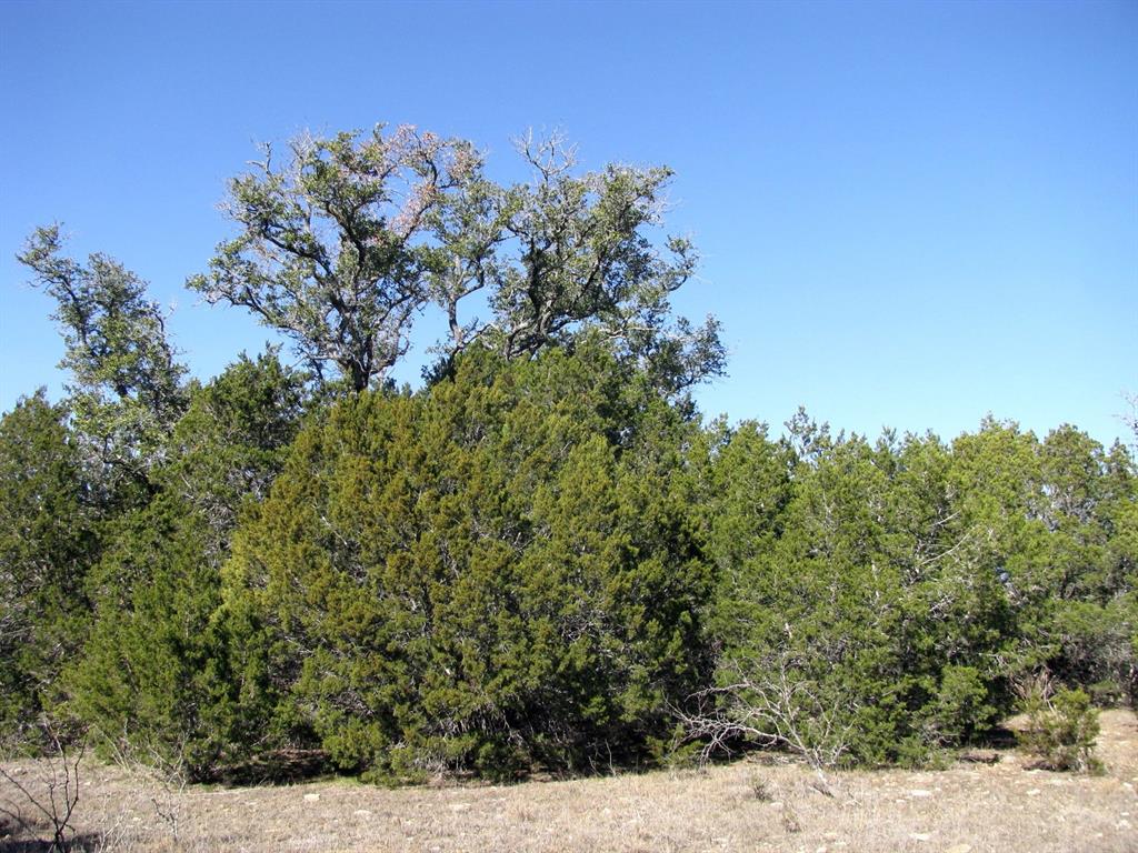 Lot 3-ph County Road 421 Evant, TX 76525 - Photo 16 of 27