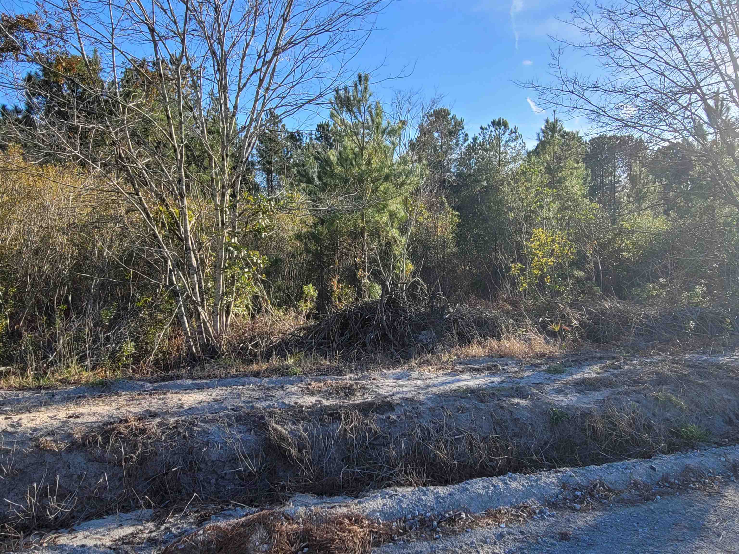 Tbd Lot 3 Tbd Drive Loris, SC 29569 - Photo 3 of 9