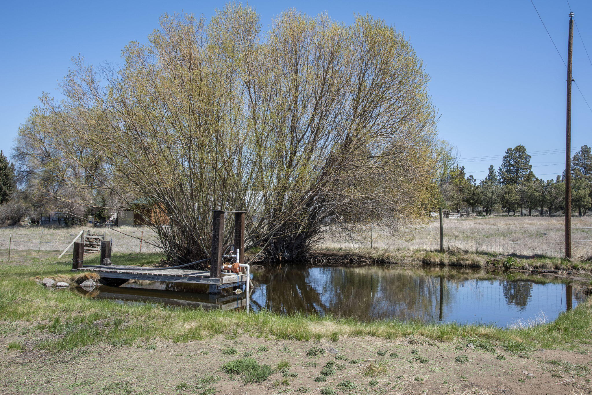 65669 Southwest 61st Street Bend, OR 97703 - Photo 19 of 27 19-web-or-mls-DSC_6807