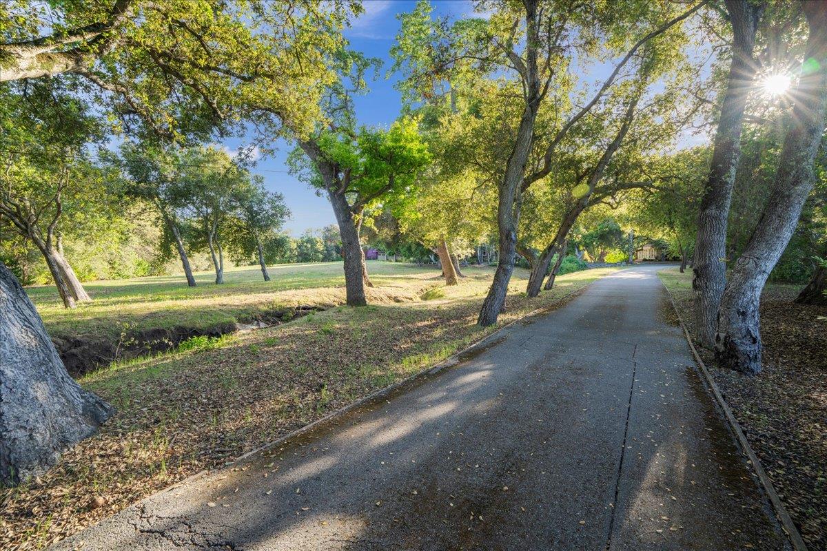 3510 Alpine Road Portola Valley, CA 94028 - Photo 3 of 77