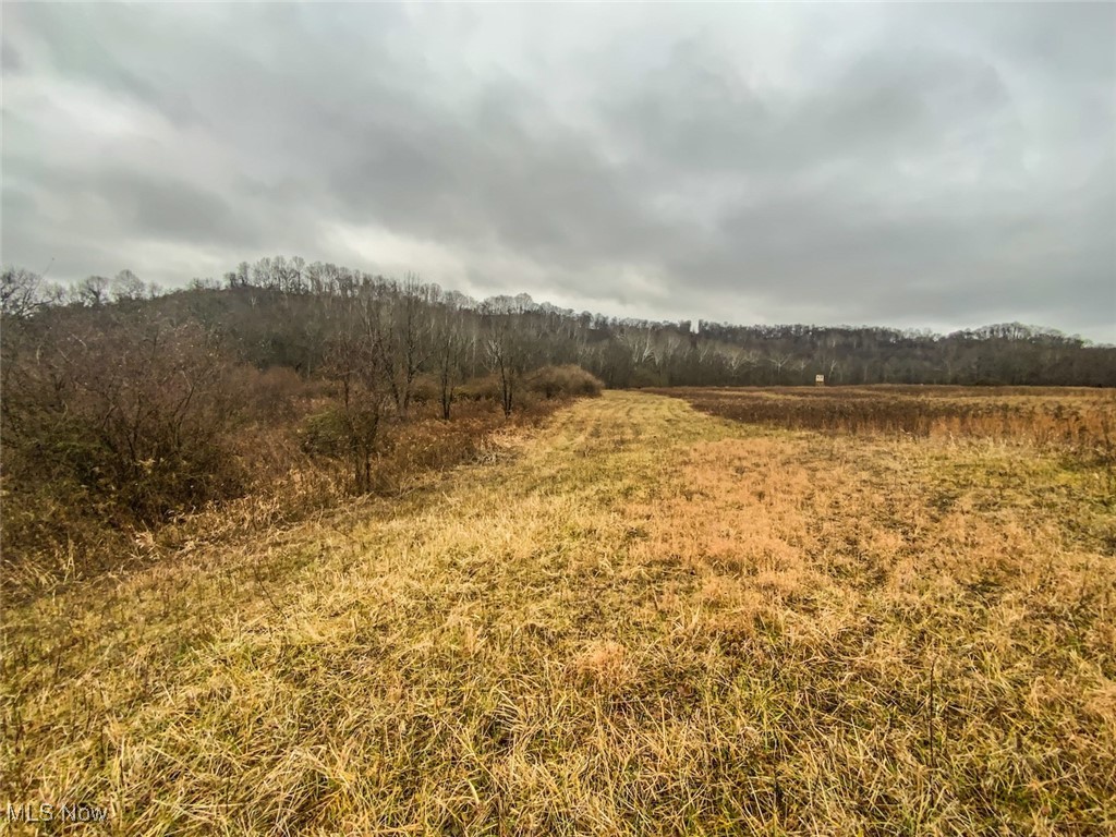 0 Wells Road Middleport, OH 45760 - Photo 7 of 27 View of undeveloped land with rural landscape