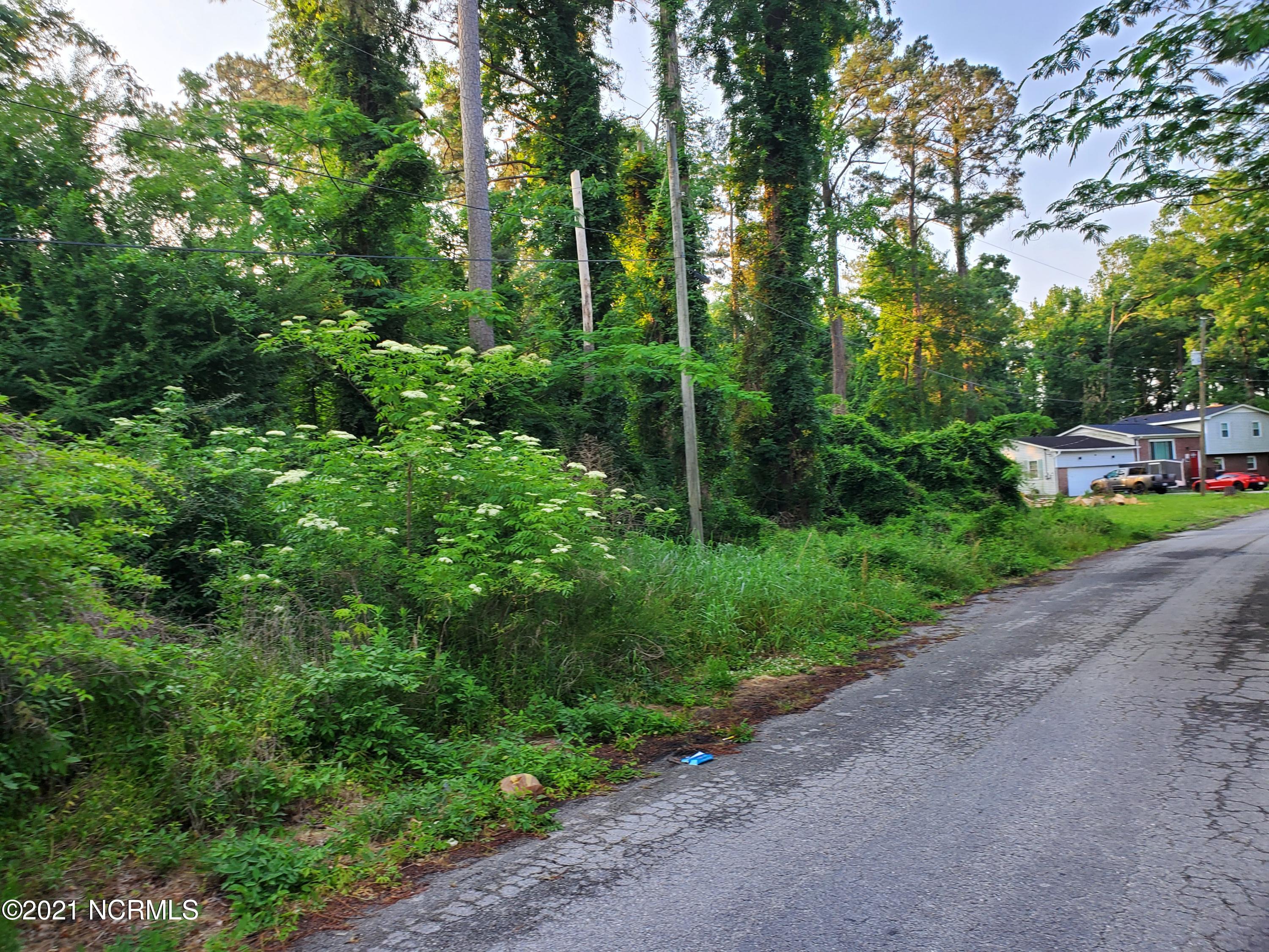 124 Jupiter Trail Jacksonville, NC 28546 - Photo 3 of 3 20210526_070145