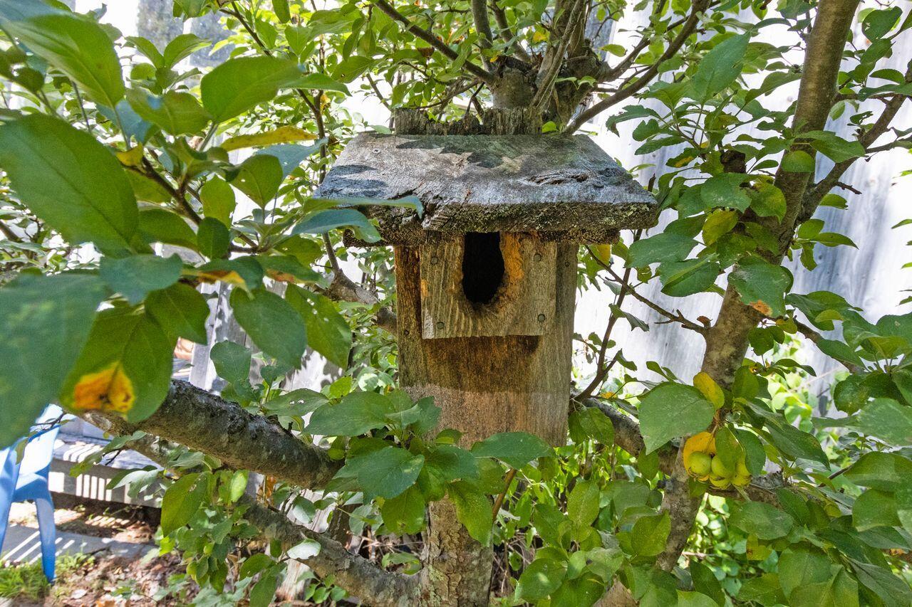 789 Branch Road Wells, ME 04090 - Photo 74 of 80 20250827EF-71081