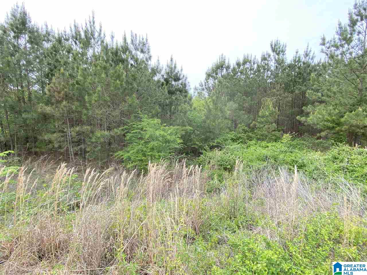 149 Rock Crest Road, Unit 22 Odenville, AL 35120 - Photo 3 of 5