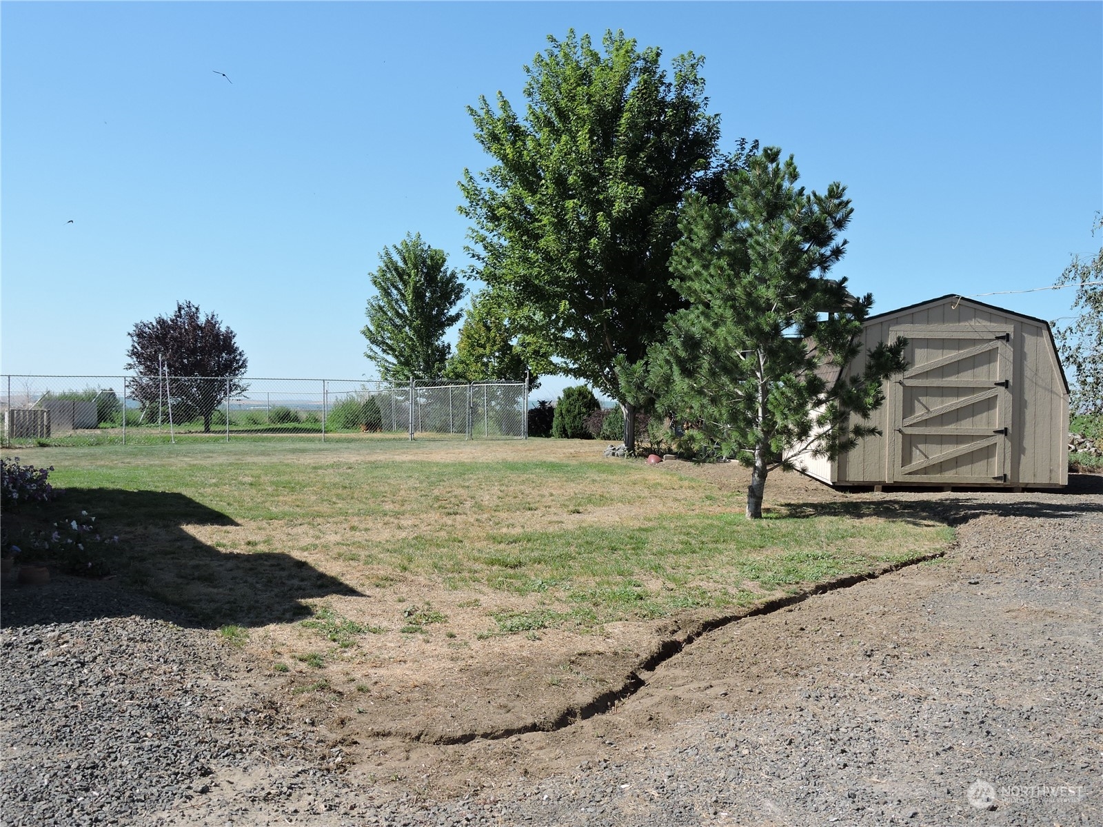 1402 Adams Road North Quincy, WA 98848 - Photo 35 of 39 a view of a yard with plants and trees