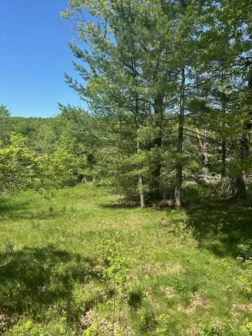 $199,000 | 6450 B Highway 97, Narrowsburg, NY 12764