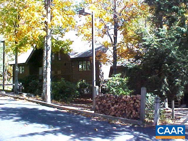 a view of a street with potted plants and large trees