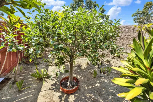 $749,888 | 508 Dakota Way, Oceanside, CA 92056