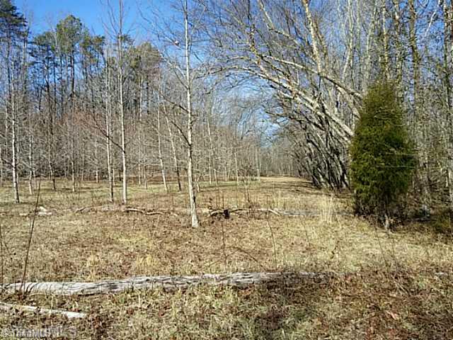 1200 John Harger Road Walnut Cove, NC 27052 - Photo 14 of 16 Land. Beautiful open areas - this is in 100 year flood plain
