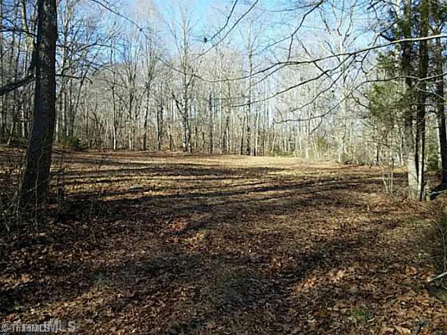 1200 John Harger Road Walnut Cove, NC 27052 - Photo 16 of 16 Land. More land