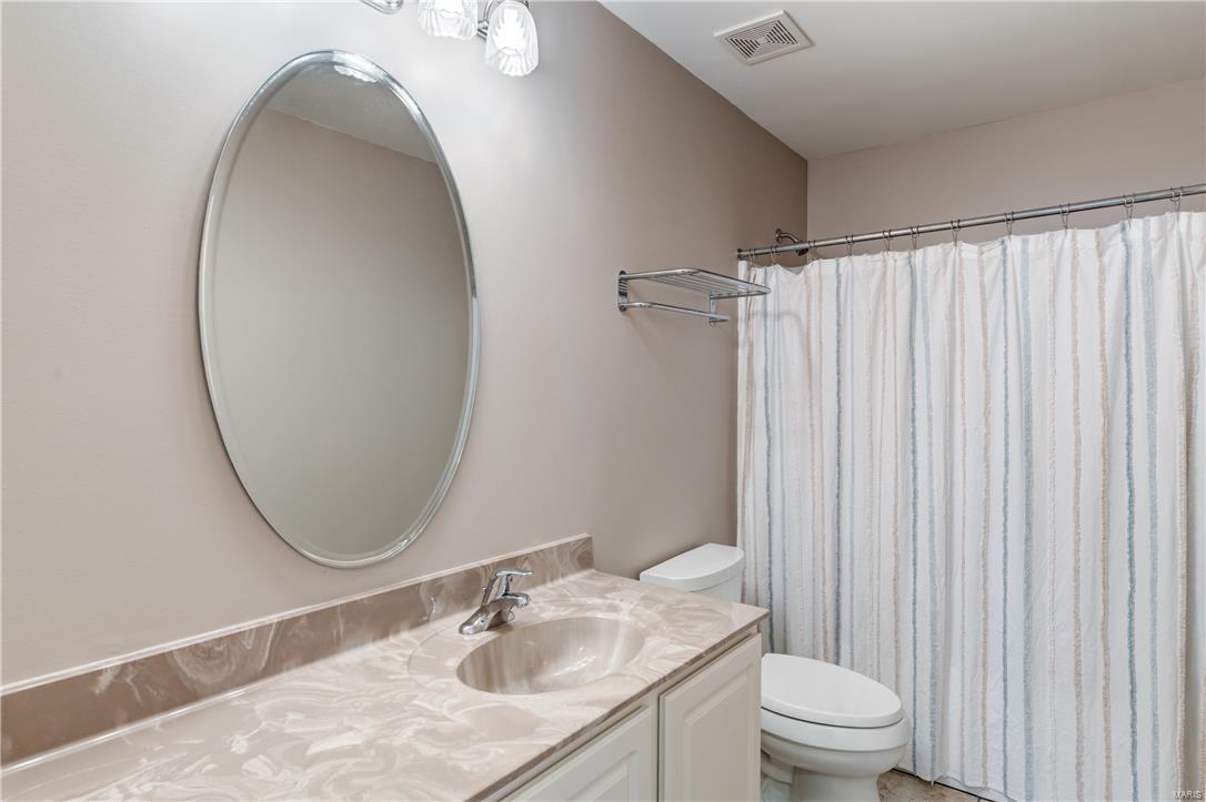 1129 Spring Lilly Court High Ridge, MO 63049 - Photo 47 of 67