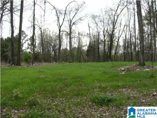 0 Spring Creek Road, Unit 30 AC Calera, AL 35040 - Photo 15 of 20