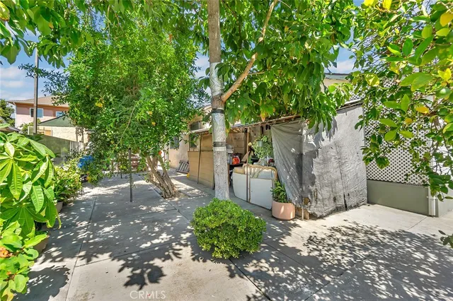 front view of a house with a large tree