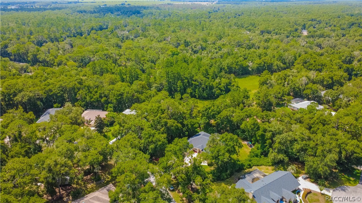 18976 Southwest 93rd Loop Dunnellon, FL 34432 - Photo 61 of 82