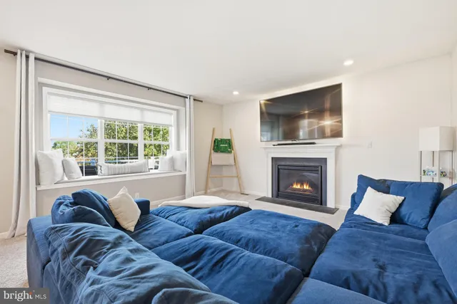 a living room with furniture window and a fireplace