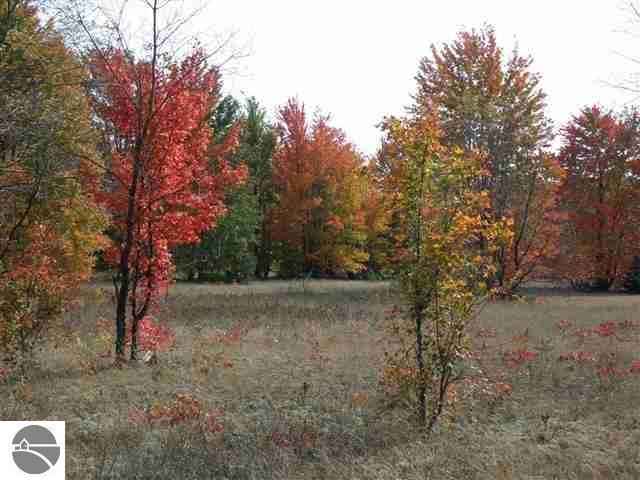 Lot 10 Roberts Road Beulah, MI 49617 - Photo 19 of 20 1732674-18.JPG