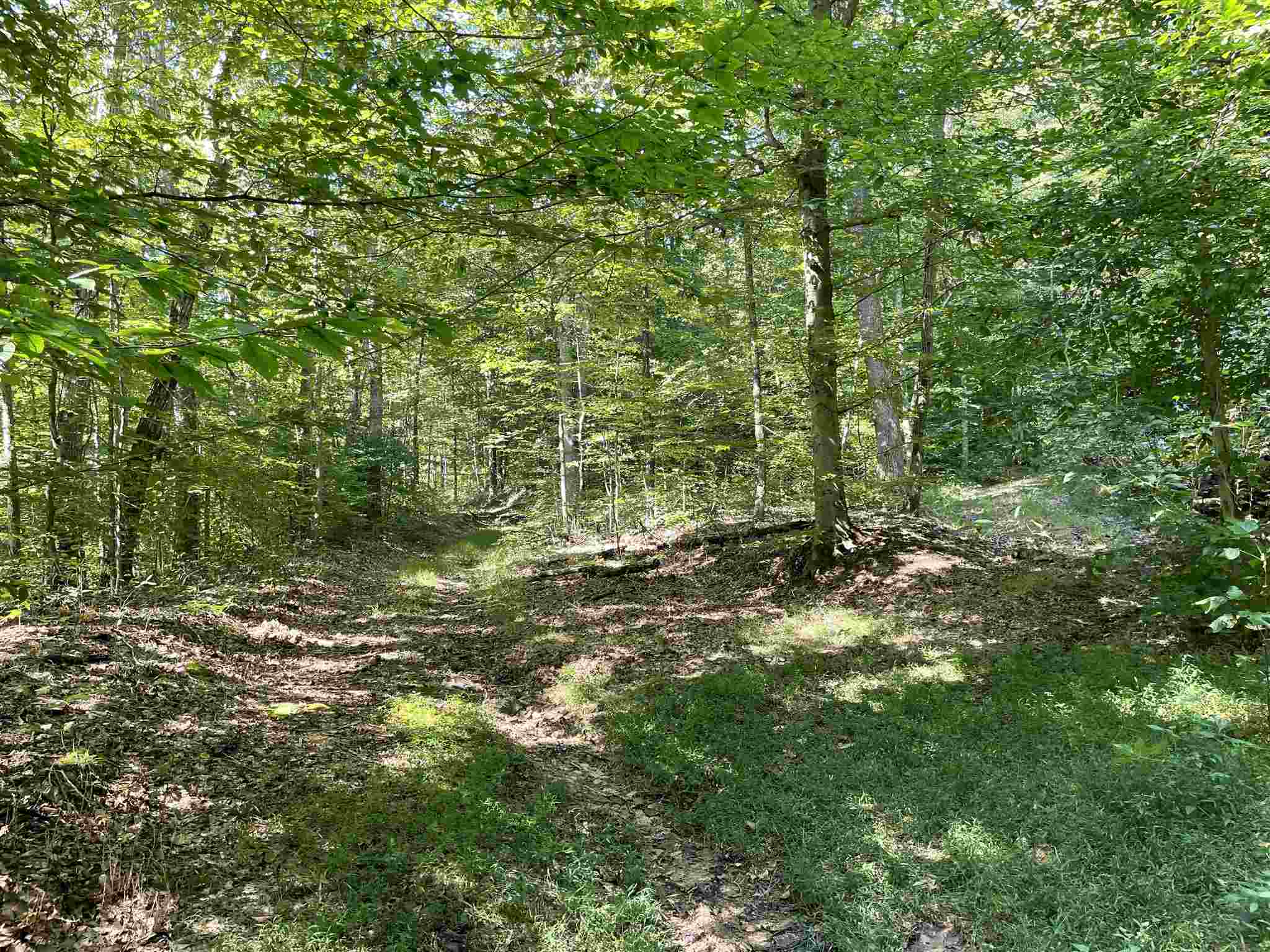 Mifflin Westfork Road English, IN 47118 - Photo 11 of 21