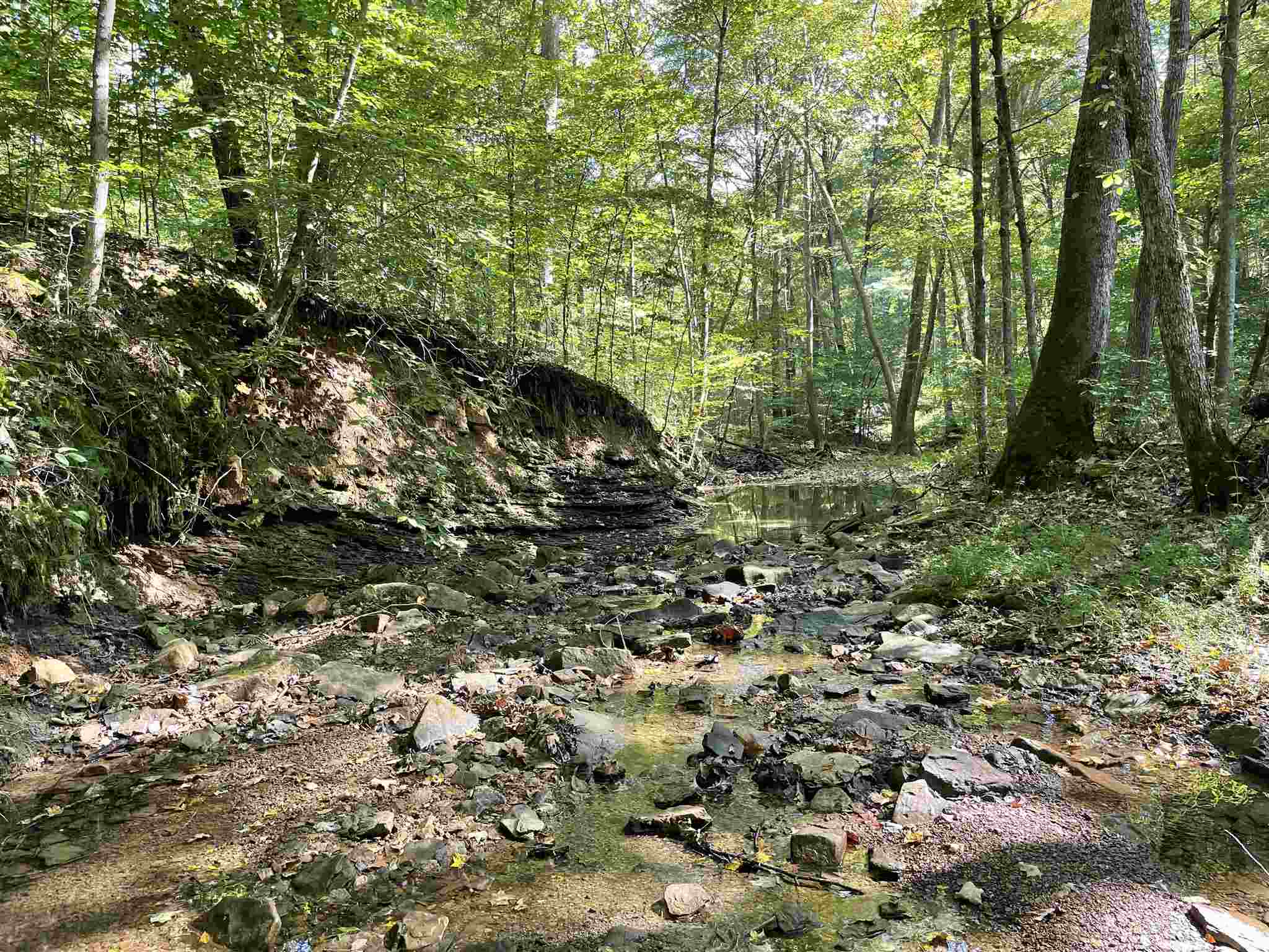Mifflin Westfork Road English, IN 47118 - Photo 12 of 21