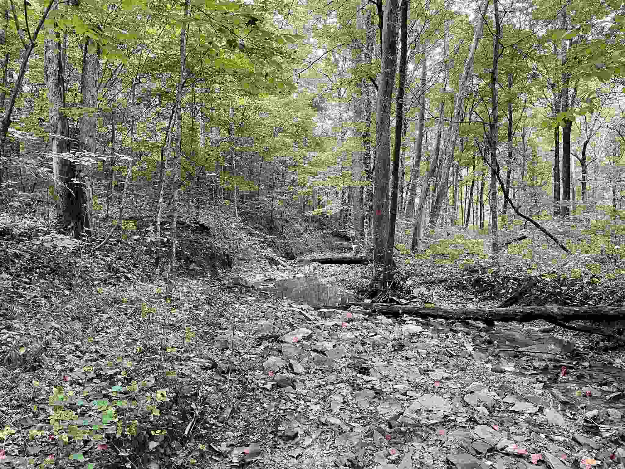 Mifflin Westfork Road English, IN 47118 - Photo 6 of 21