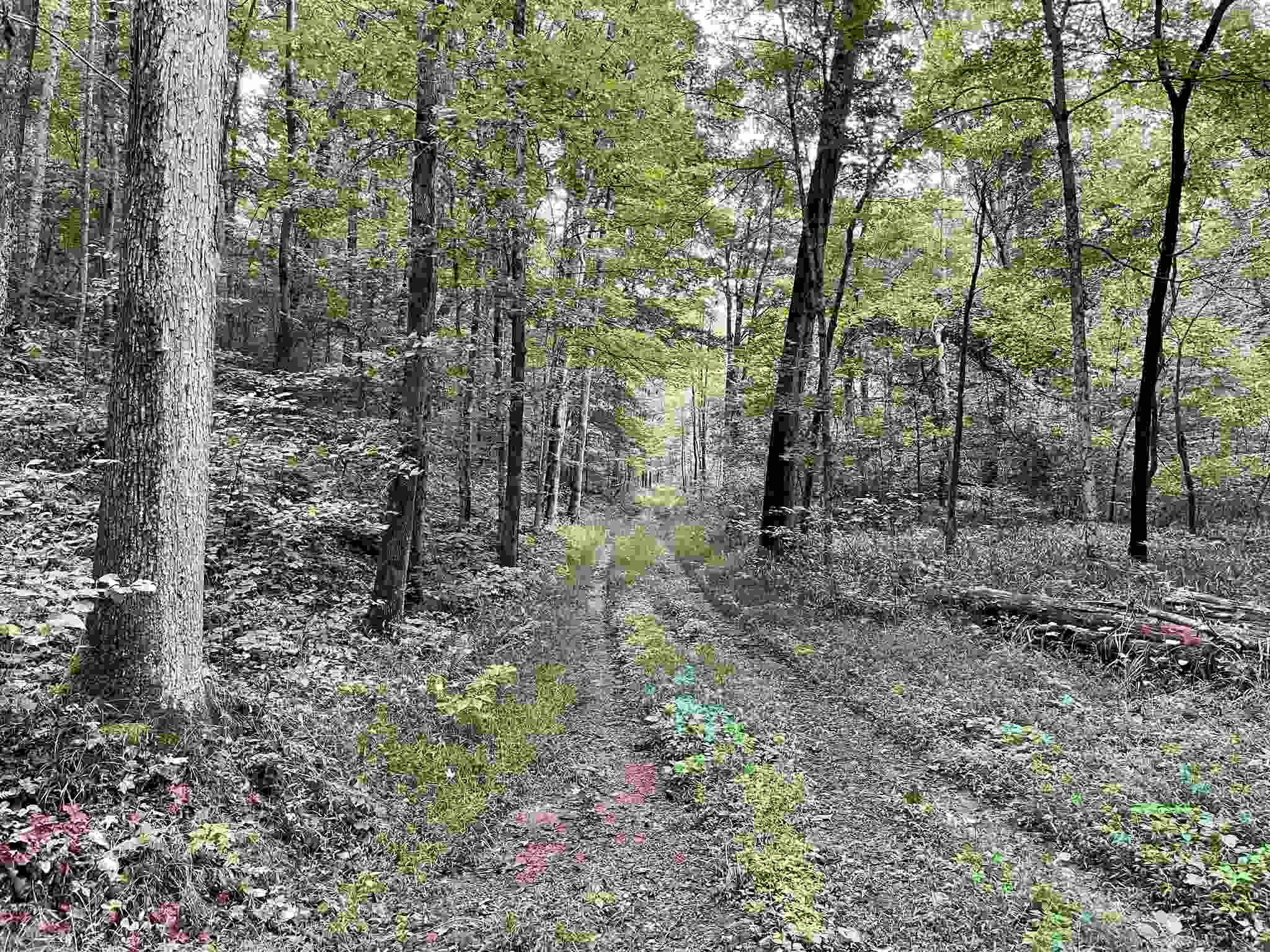 Mifflin Westfork Road English, IN 47118 - Photo 8 of 21